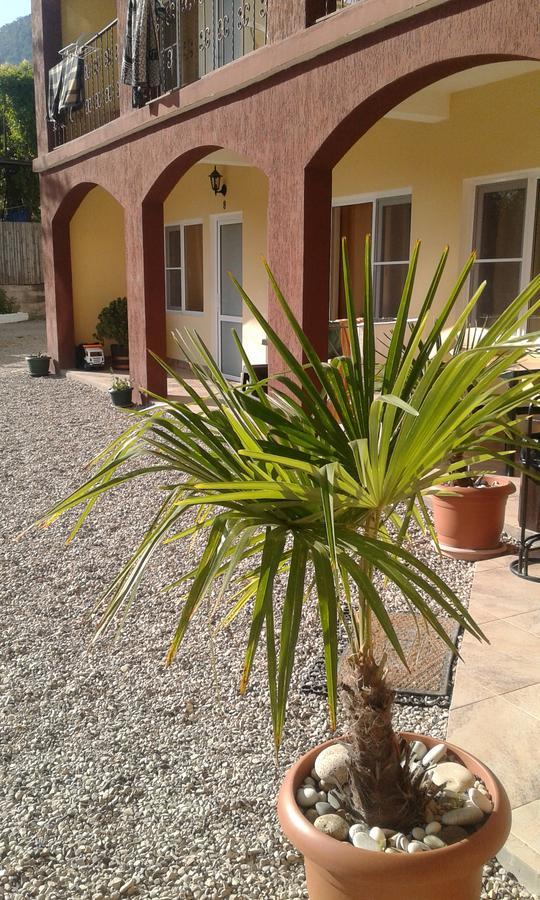 Guest House Amra New Athos Exterior photo