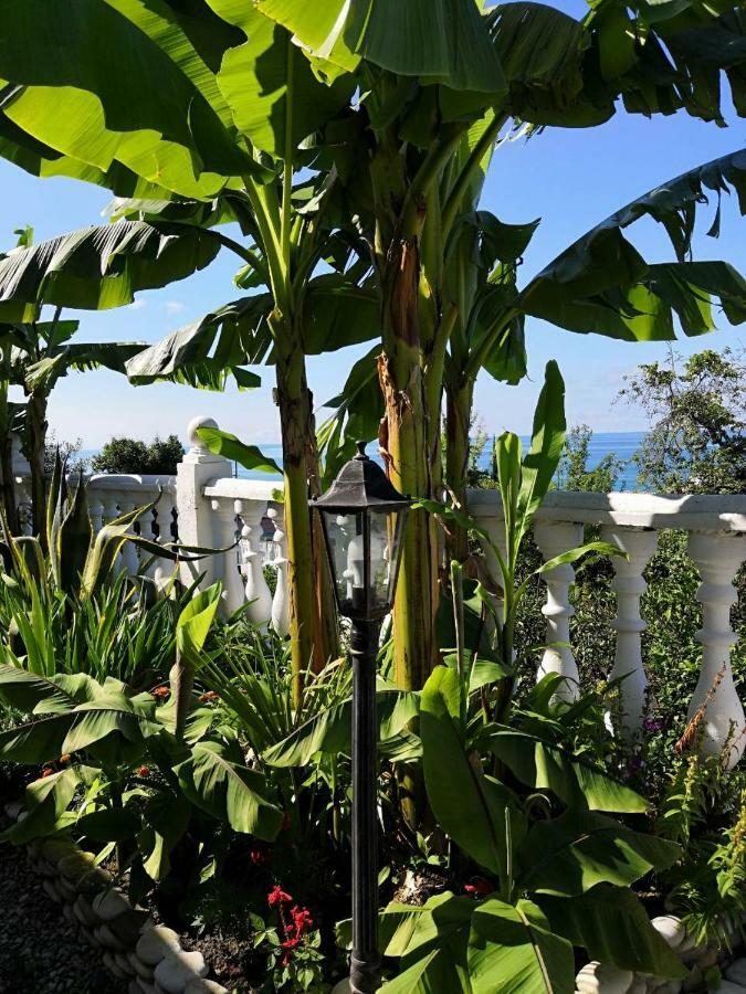 Guest House Amra New Athos Exterior photo
